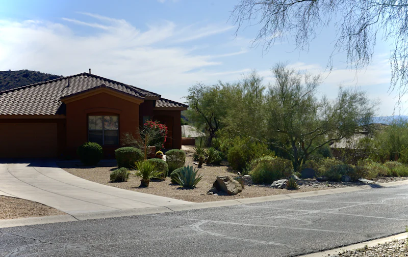 Curved concrete driveway at a desert-landscaped home